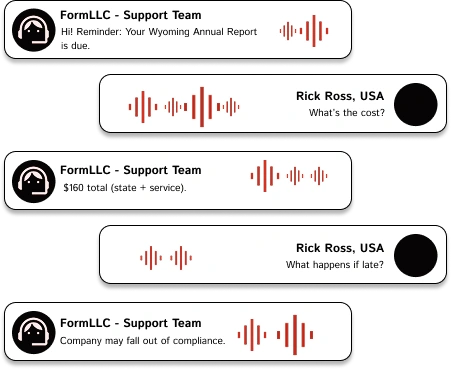 FormLLC support chat preview